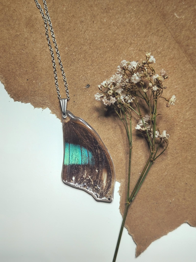 Real Butterfly Wing Necklace 