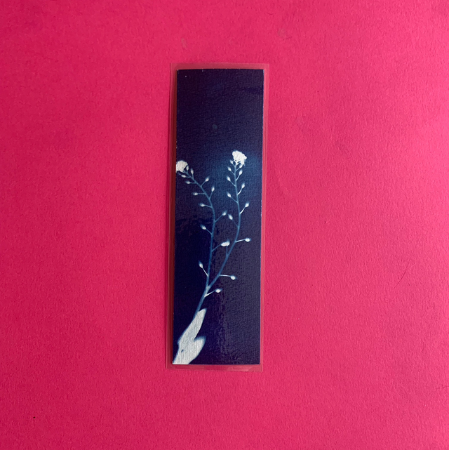 Marque page cyanotype végétal original sur papier épais et plastifié