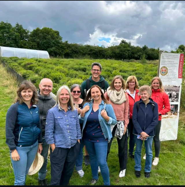 Guided Tea Garden Tour &amp; Sampling  Voucher- per person  (Approx. 1.5 hrs)