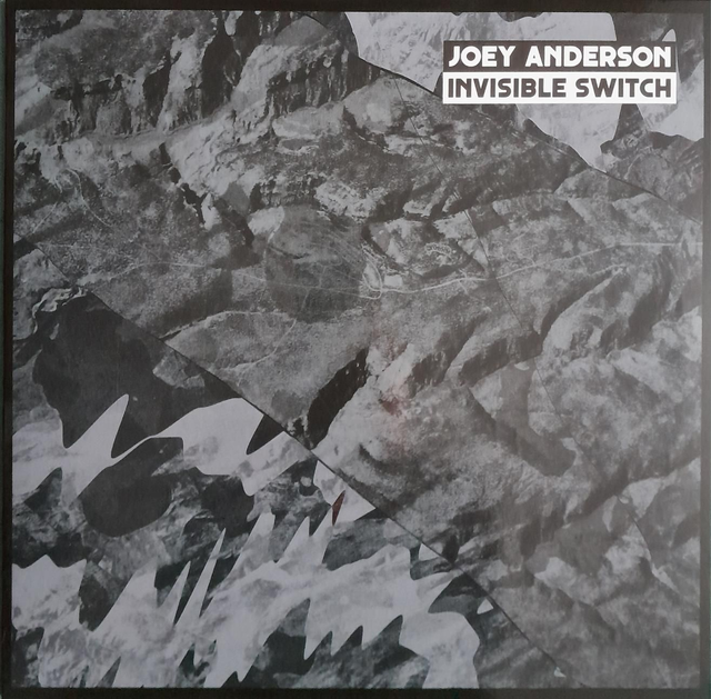 Joey Anderson - Invisible Switch - DKMNTL029 - 2x12"