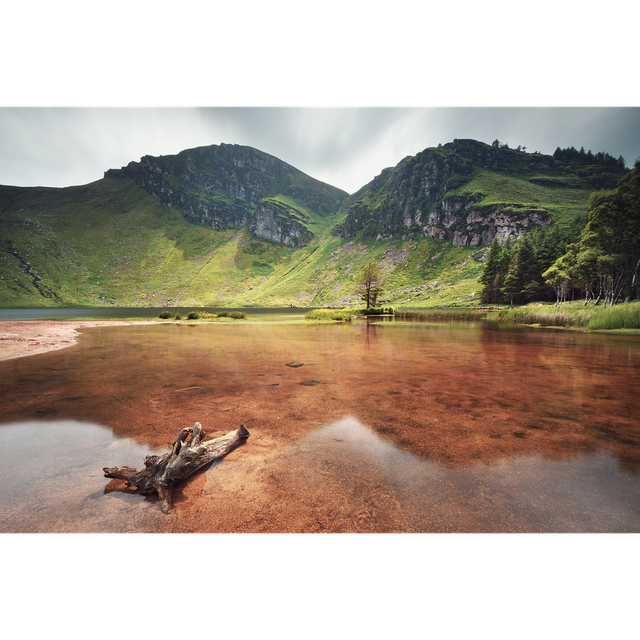 Gleann Tí an Easaigh - Glanteenassig Wood