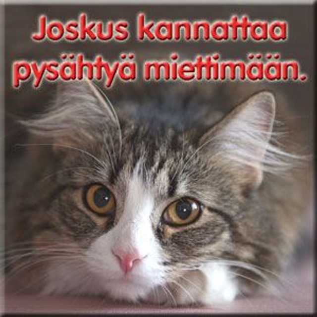 Magneetti "Joskus kannattaa"