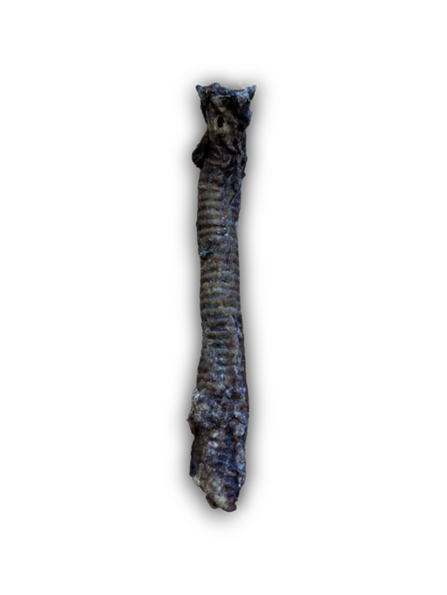 ANCO NATURALS GOAT TUBE