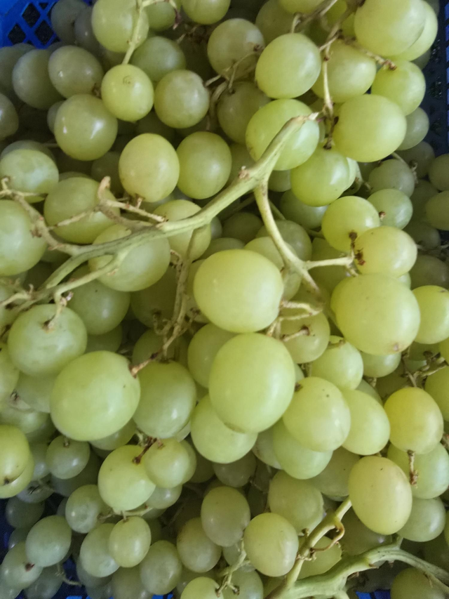 Green grapes -500g