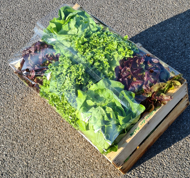 Garnitures Transparentes pour caisse 60x40 dimension 58x125cm boites de 500 