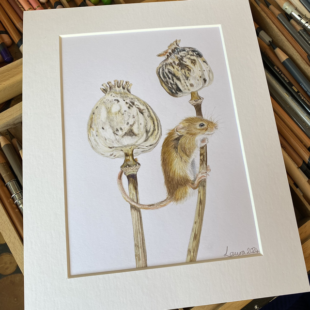 Poppy Mouse Original Drawing 