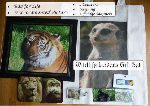 Wildlife Gift Set 