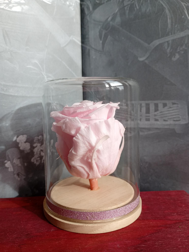 S06 unique rose rose