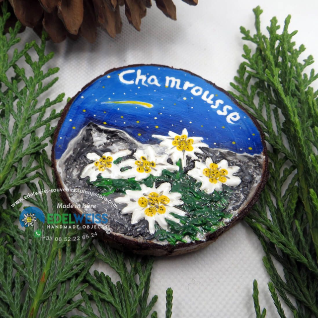 Chamrousse - edelweiss de nuit