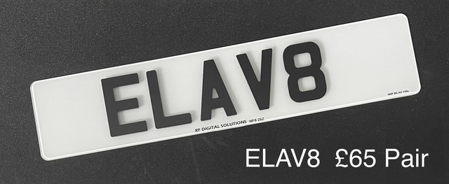 Elav8