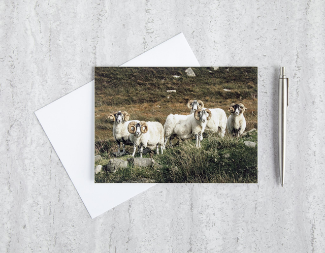 Here Come The Boys! Blank Card