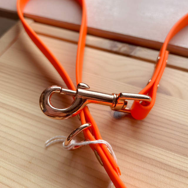 Pet Pooch Boutique Orange BioThane Dog Lead