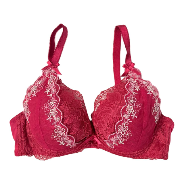 Red lace embroidered Japanese Bra 32B  