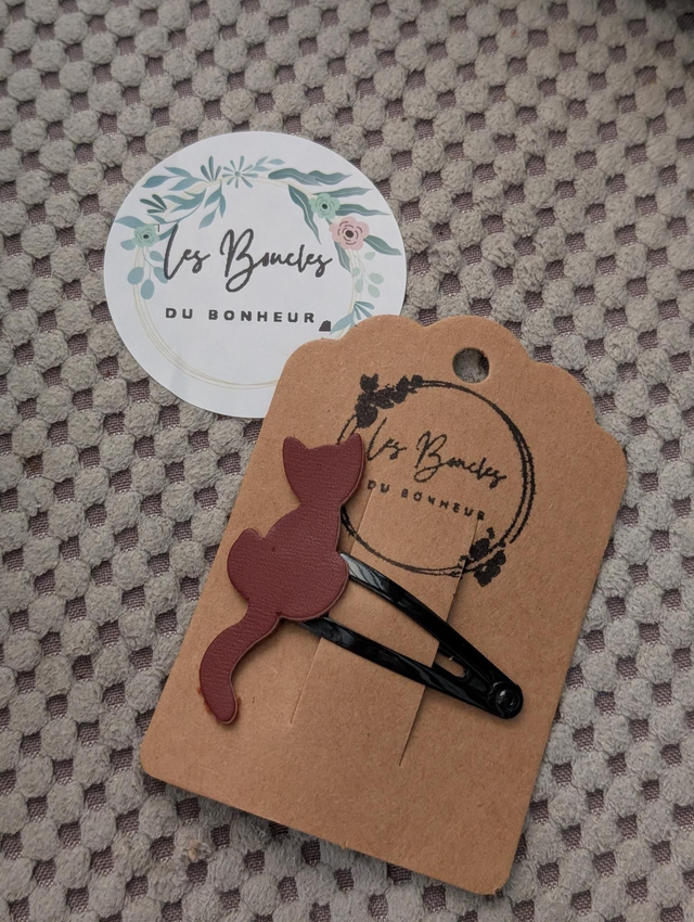 Barrette b027