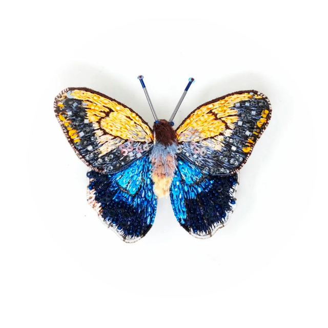 Papillon jaune et bleu