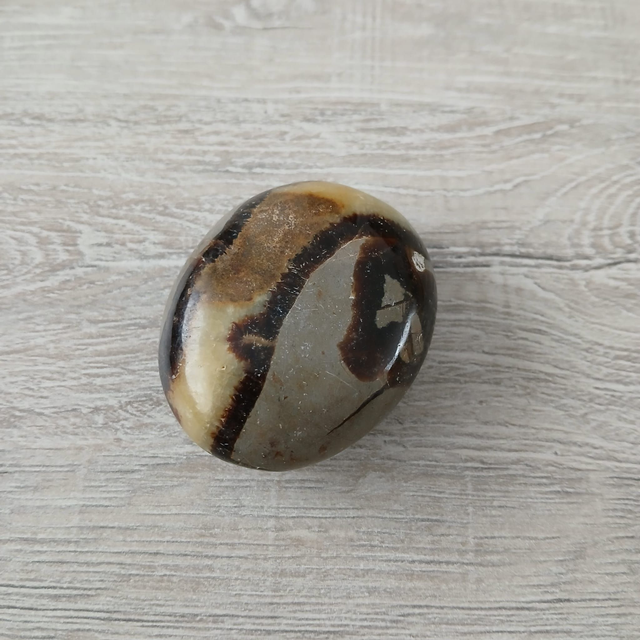 Septarie – Aarding &amp; Innerlijke Kracht 5,5 x 4,5 x 2,5 cm  (12.108)