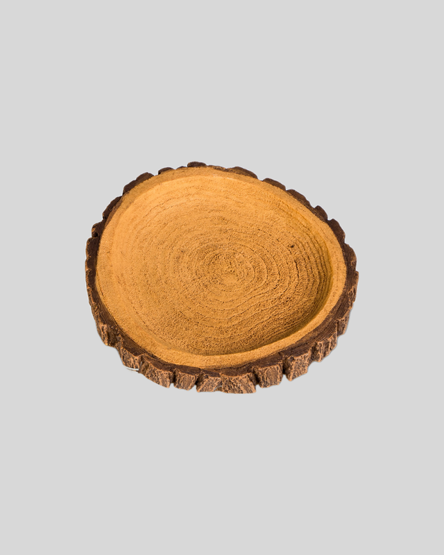 Terrario Tree Ring Bowl M – Miska do terária 12x11x1,5 cm