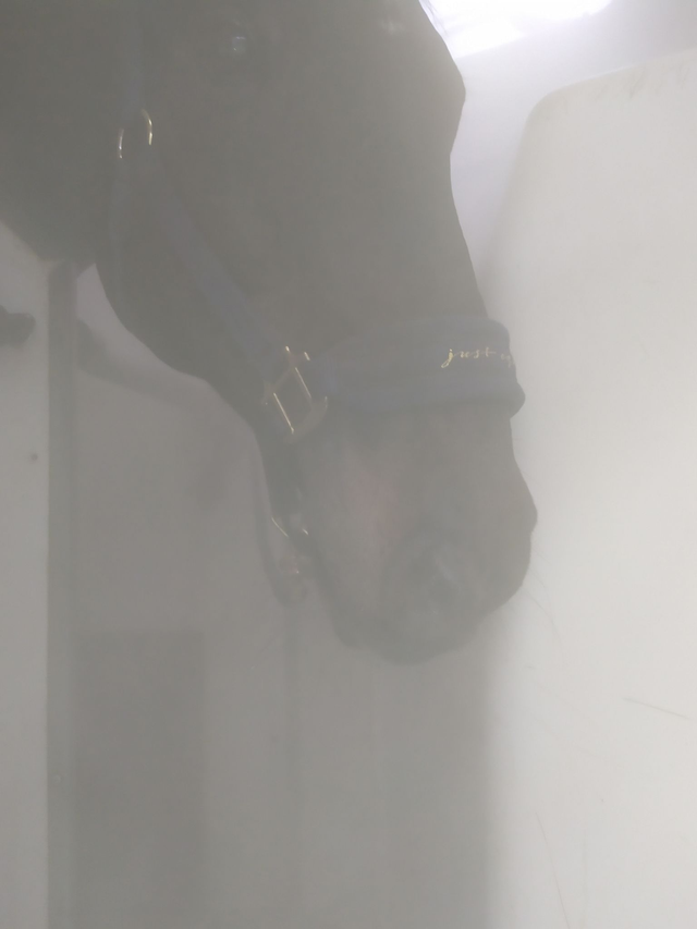 Vermietung Solekammer