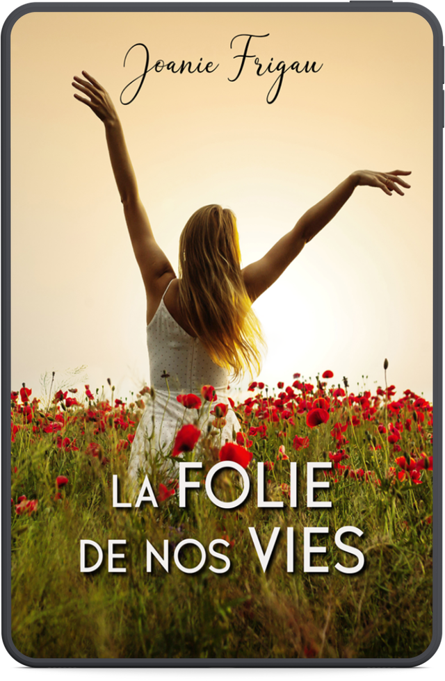 La folie de nos vies - ebook