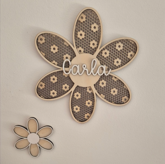 Marguerite nid d’abeille 