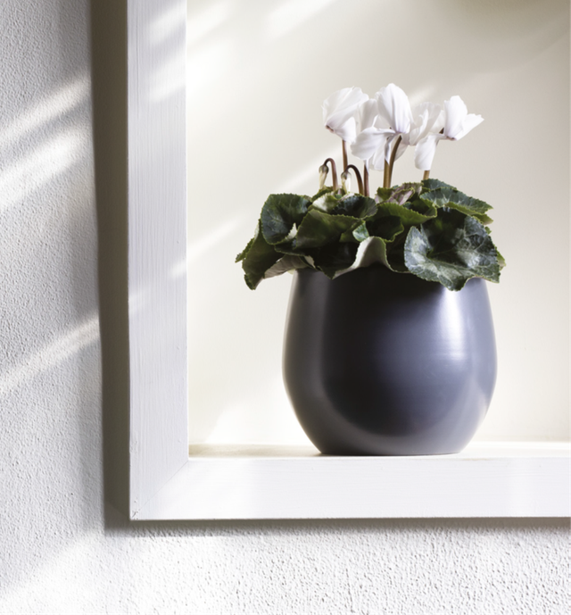 K08 . Vitoria cachpot bianco 13.5