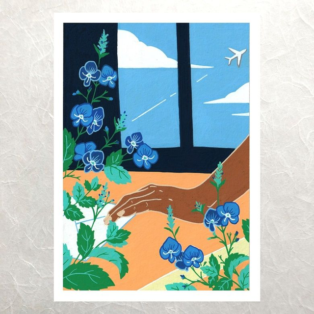 Letter writers - Wish Me Well - Veronica Chamaedrys