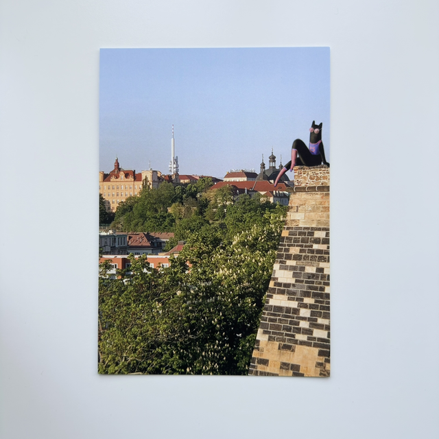 Vyšehrad Wall