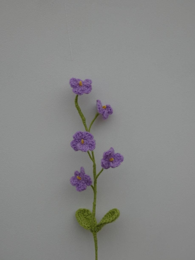 Tige de myosotis violette 