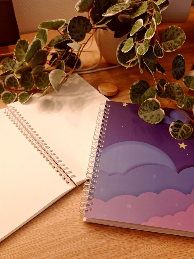 Night - Stickers Book