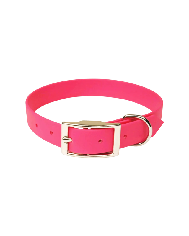 Collier biothane rose