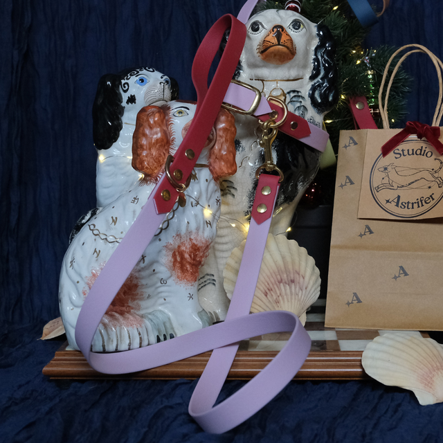 Framboise et lila — Laisse bicolore imperméable 120cm — URSA MAJOR