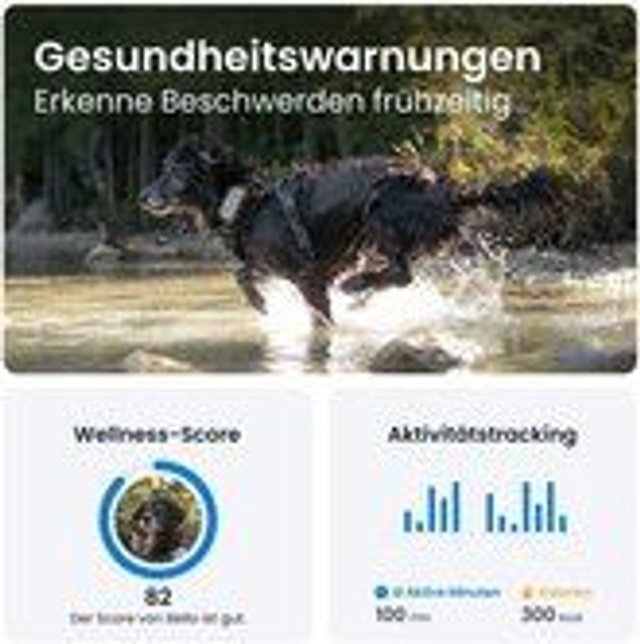 Tractive GPS DOG XL (22 Kg) - Adventure Edition - grey