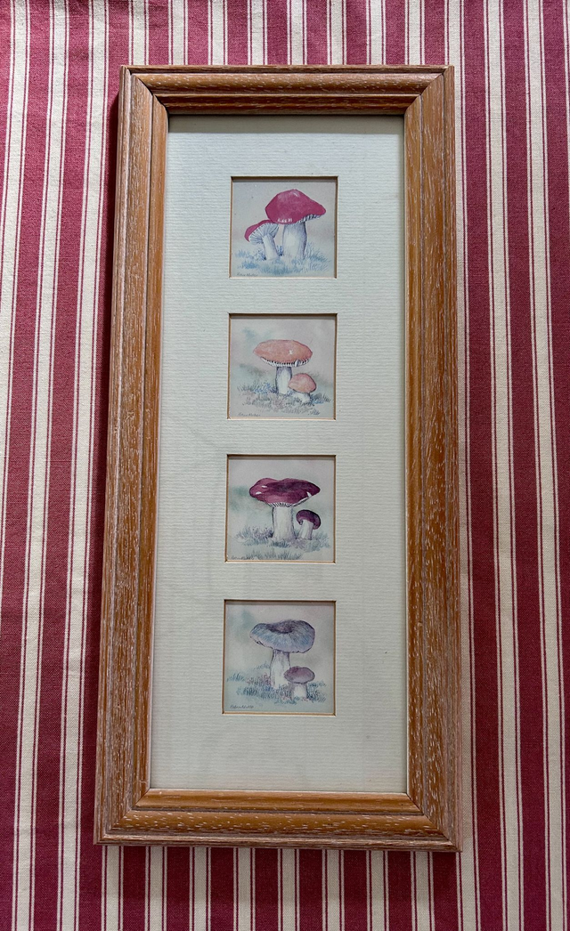 Framed Mushroom Prints By Robin Mullen Quality Miniatures
