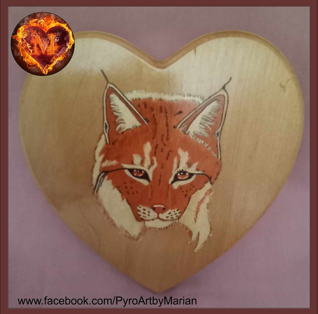 The Eurasian Lynx 🐱💚