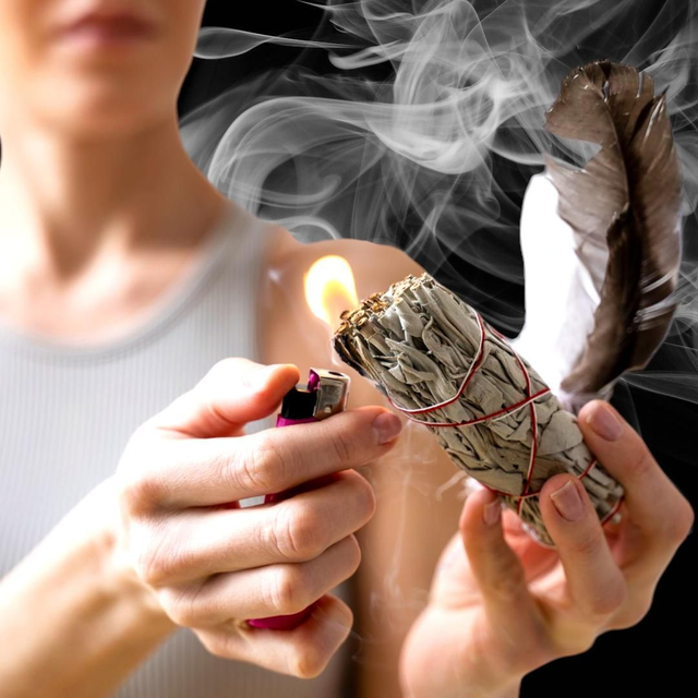 Sauge blanche &quot;Fagot&quot;