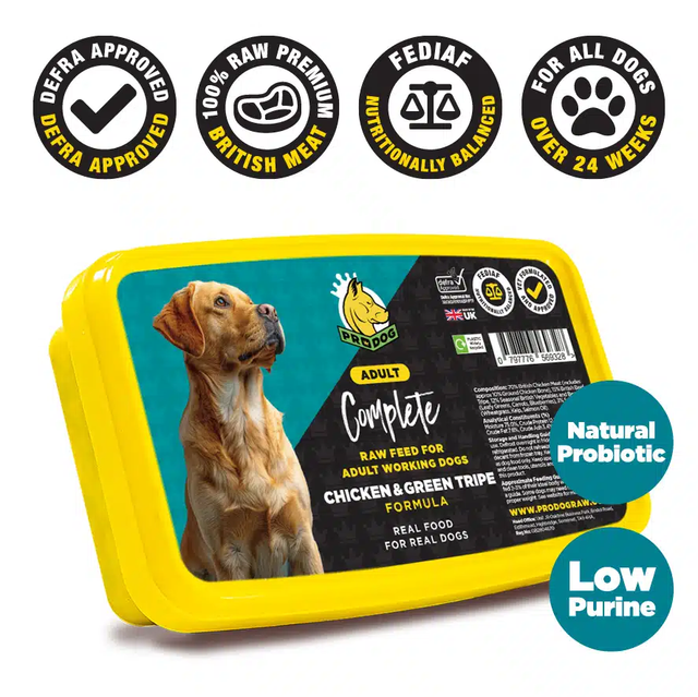 500g ProDog Complete Chicken and green tripe raw dog food