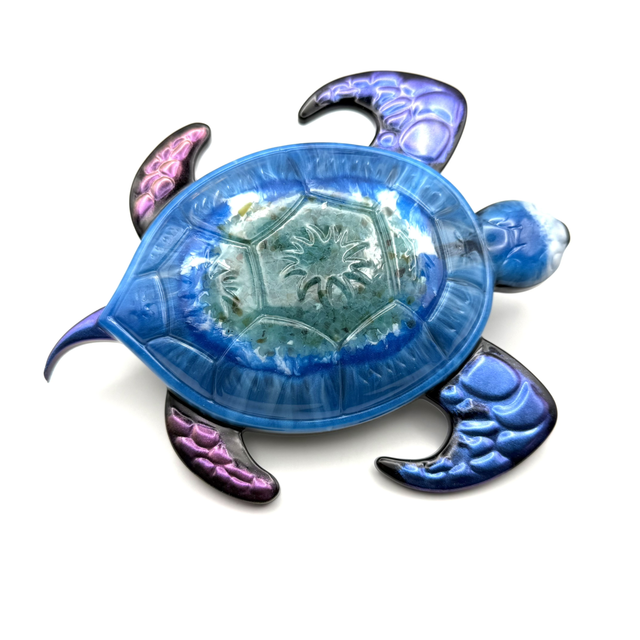 Tortue Éclat de l’Océan