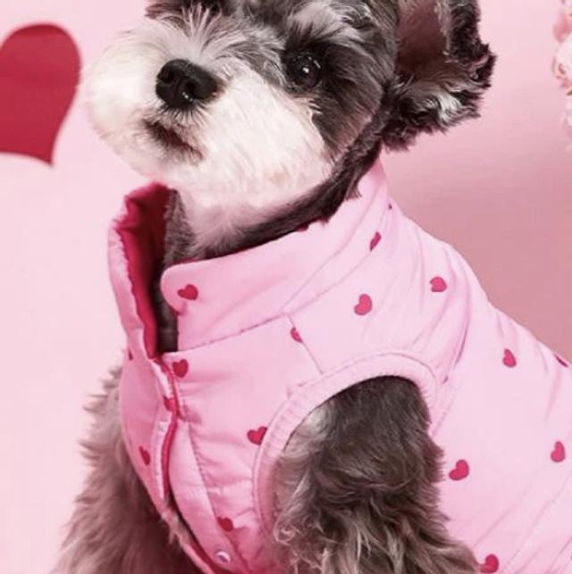 Jacket Valentine’s Day