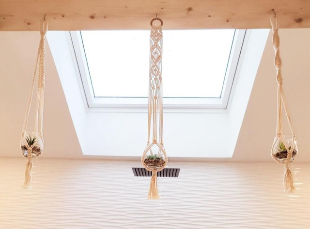 Mini suspension plantes