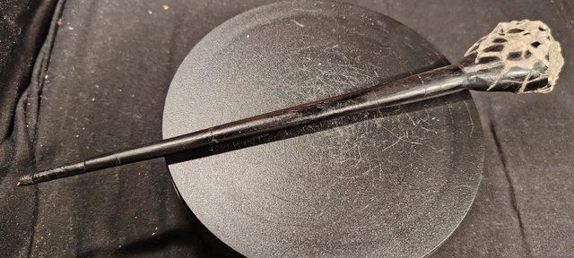 Salpingoteuthis ref.698