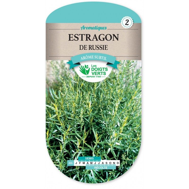 ESTRAGON DE RUSSIE