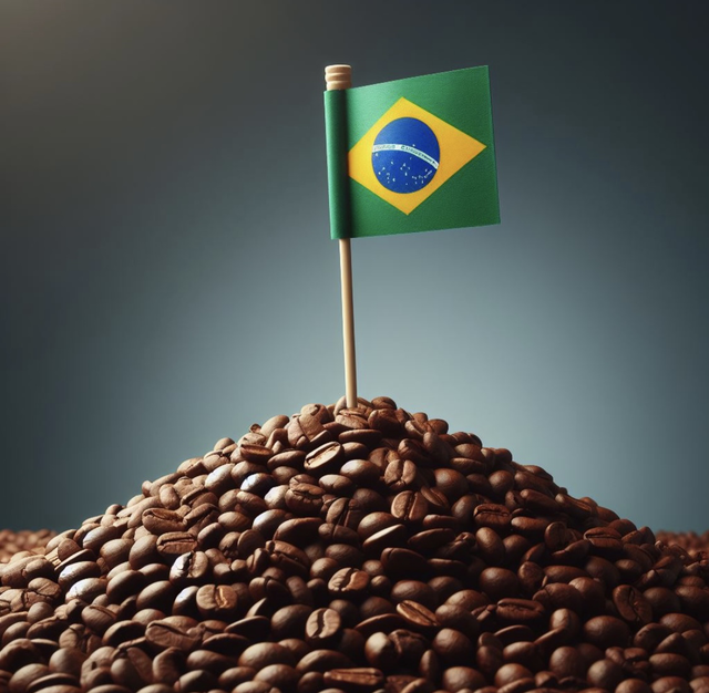 Brazil Sitio Boa Esperanca - Mundo Novo