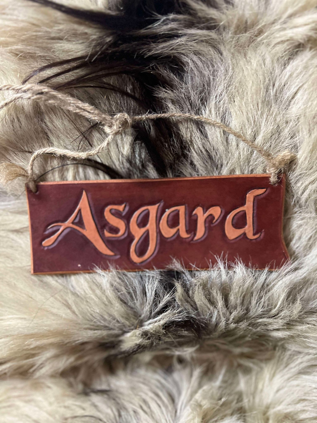 Pancarte Asgard