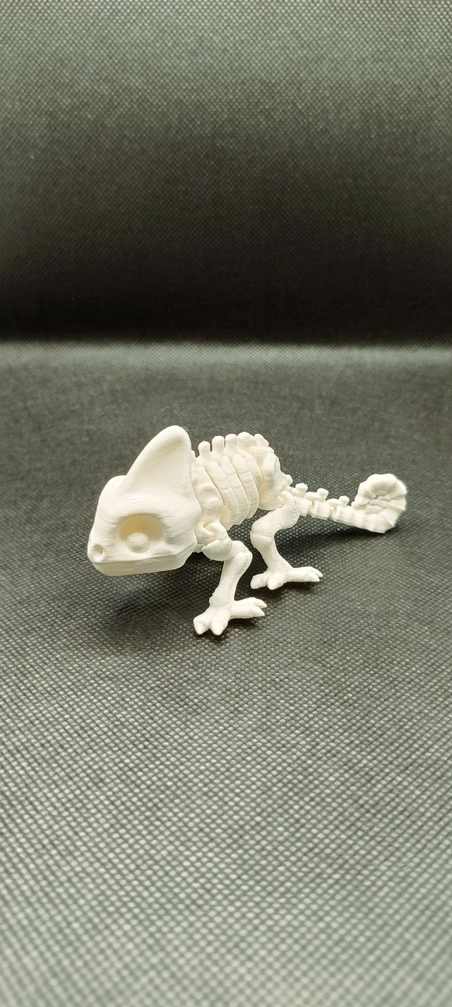Chameleono skeletas