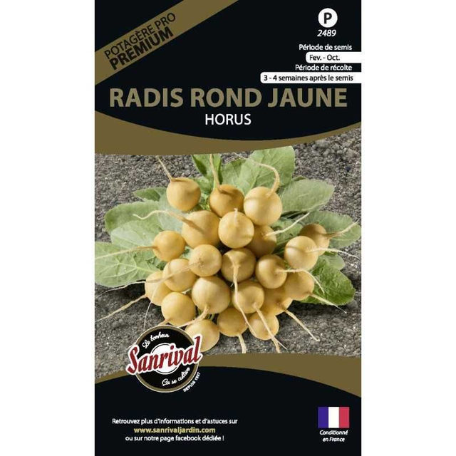 RADIS ROND JAUNE HORUS