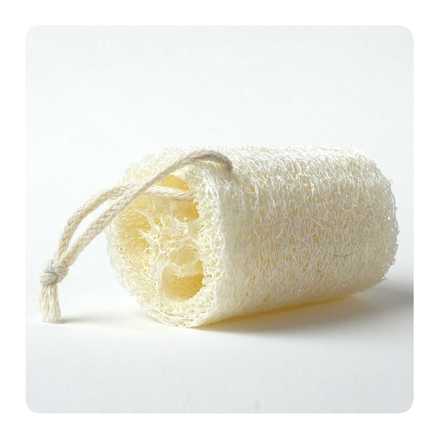 Eponge exfoliante en Luffa