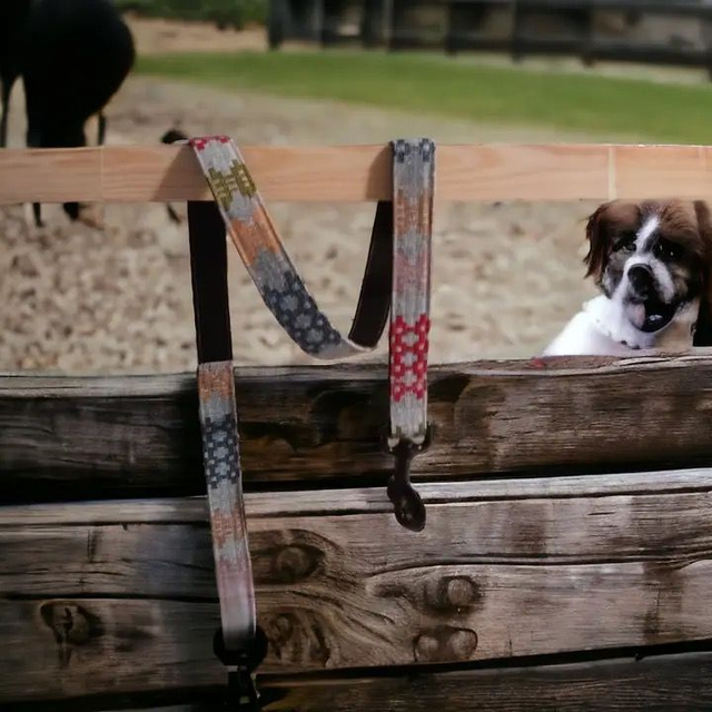 Moose & Co Handmade Dog Lead - Denim Multi