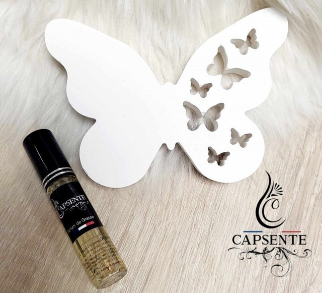 Coffret Diffuseur Papillon