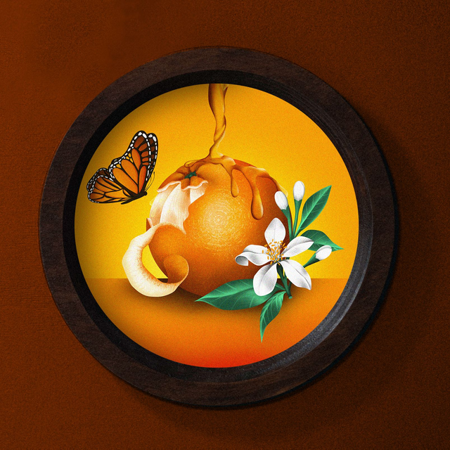 Cadre "Orange &amp; Miel"