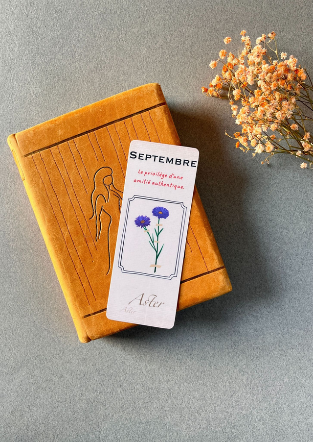 Marque-pages 09. Septembre, L&#039;Aster
